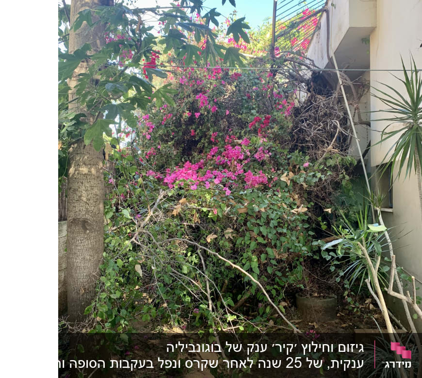 השביל חסום. 